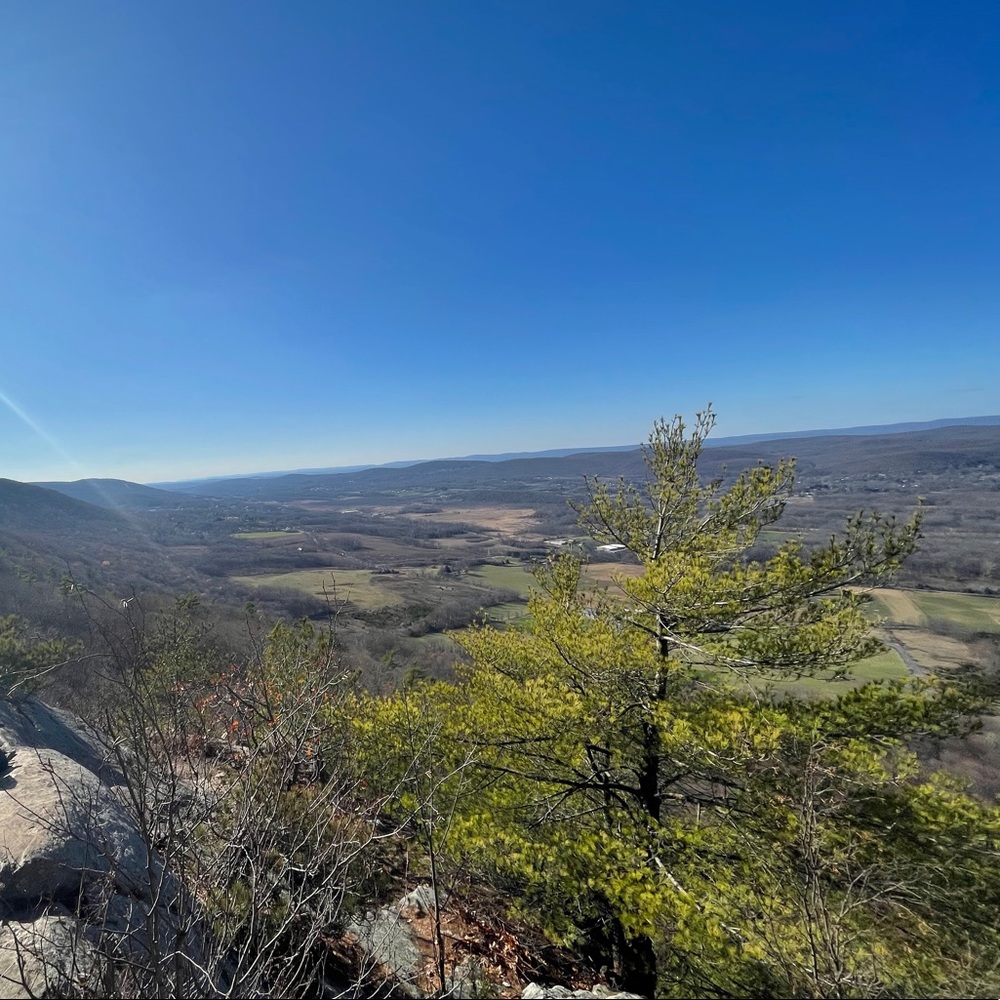 Meet your Posher, Joshina